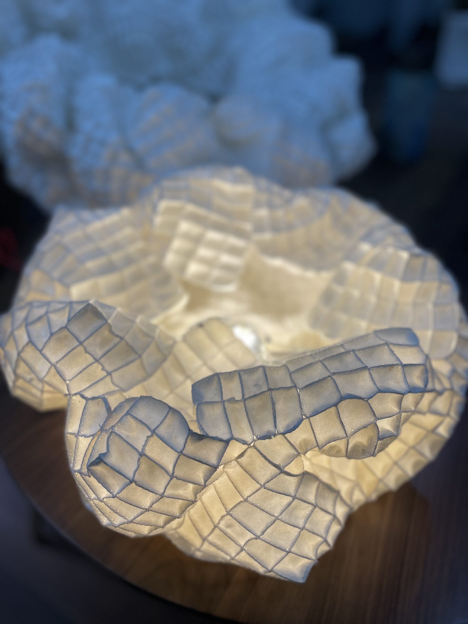 Lotus” cocoon
