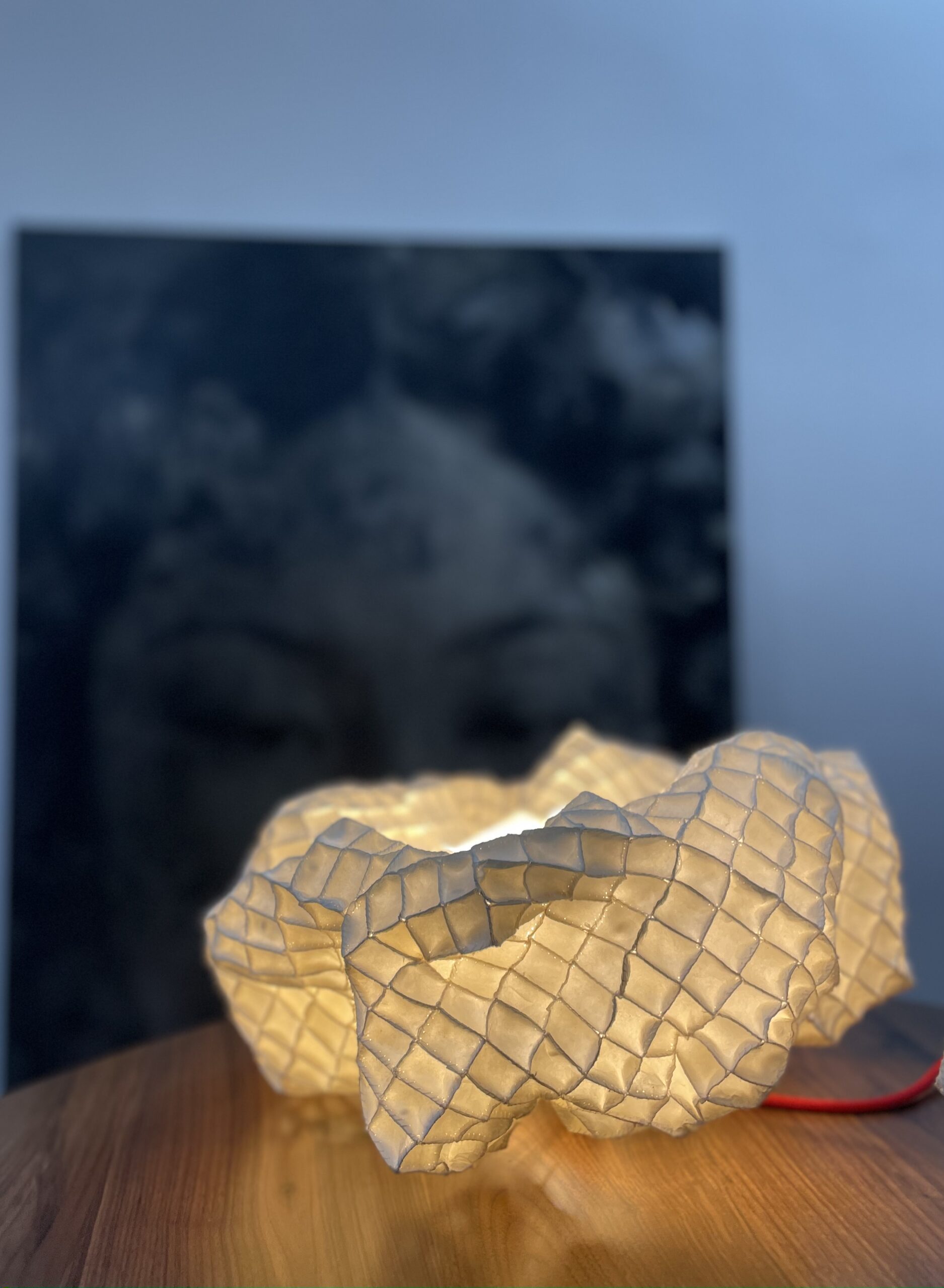 S Lotus” cocoon
