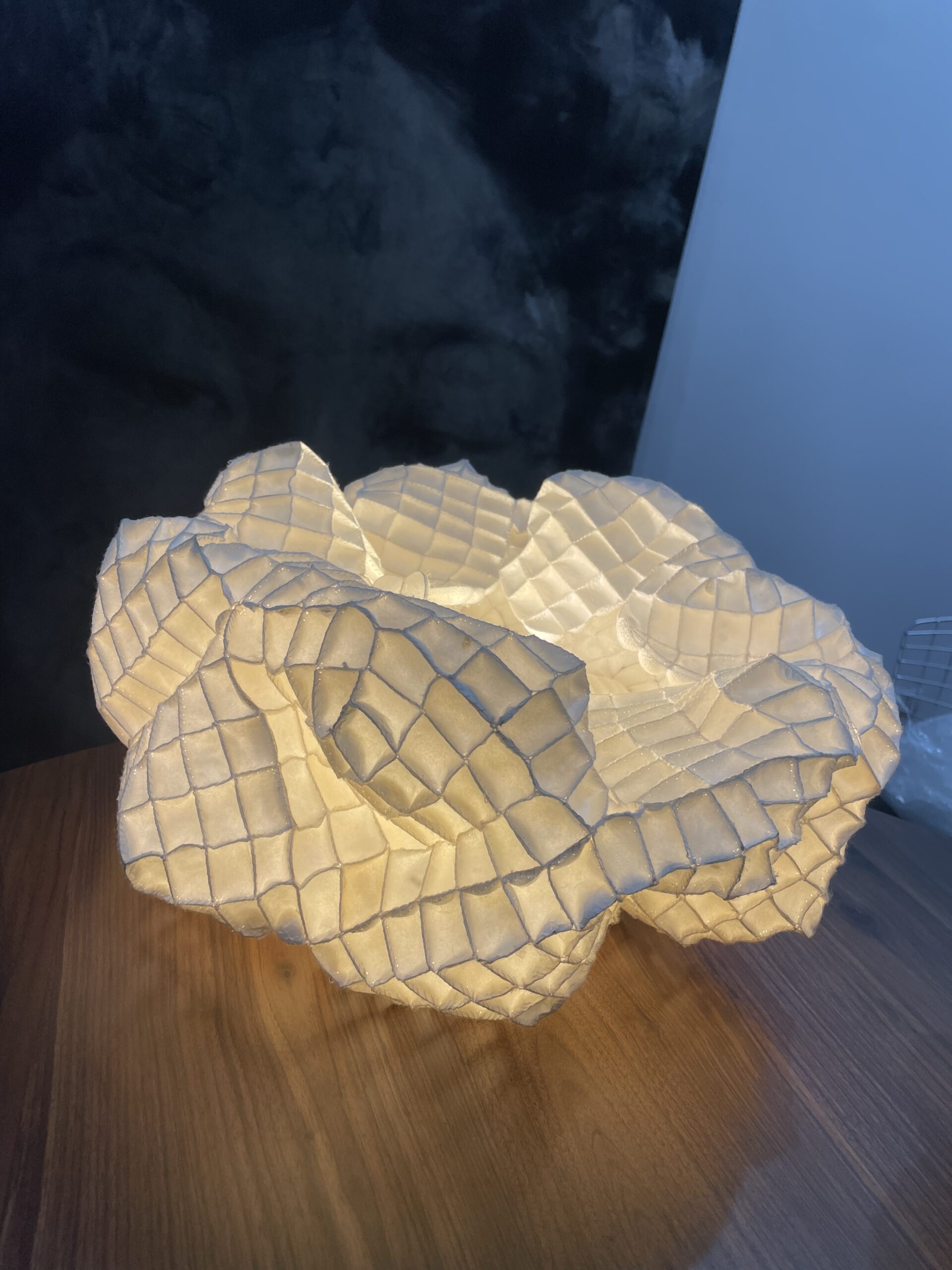 S Lotus” cocoon1